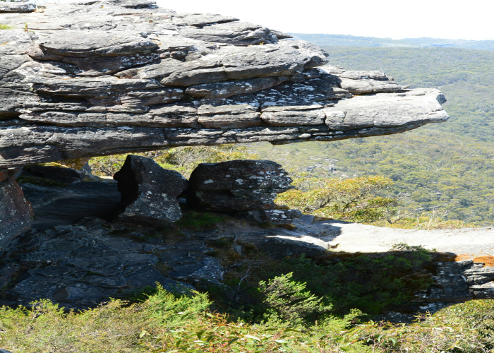 Kakadu Rock Art Hikes & Cahills Photo Cruise – Tour & Trek Guide