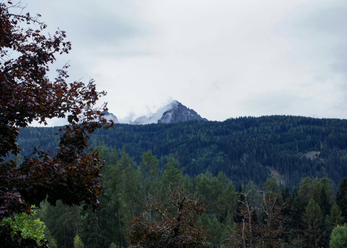 Rothaarsteig (Rothaar Mountains, ~155 km): Tour & Trek Guide [2026]