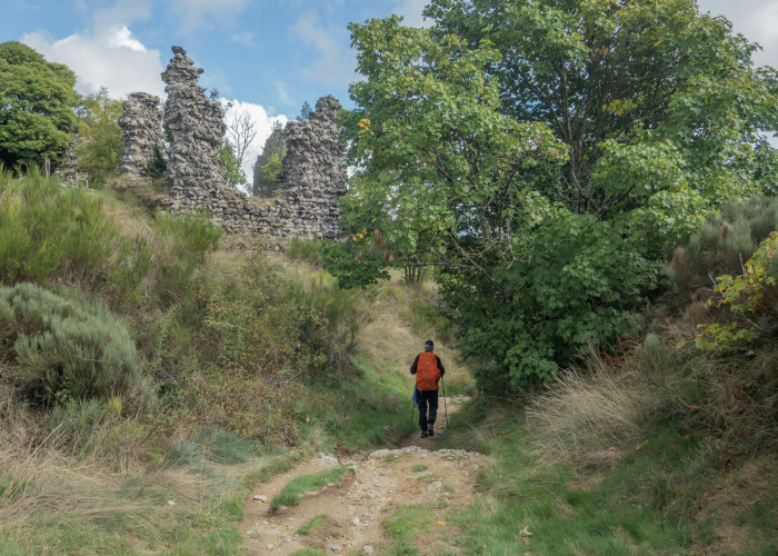 Best of Moselsteig Guided Hiking Tour: Complete Guide