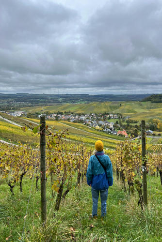 Wine Country Vineyard Walks in Moselle & Rhine Valleys – Tour & Trek Guide