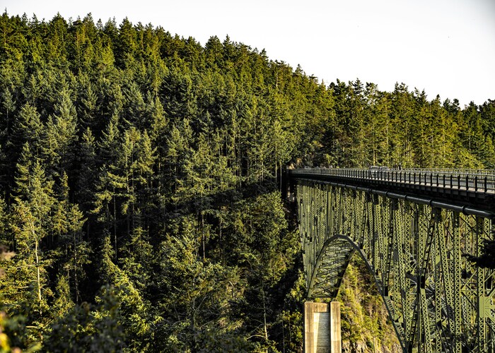 West Coast Wilderness Railway Walk Combo TAS – Tour & Trek Guide