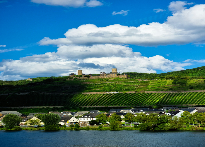 Wine-Festival Walking and Tasting Tours in Moselle and Baden