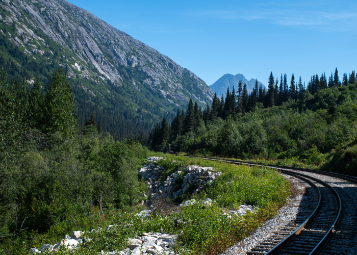 West Coast Wilderness Railway & Walk Combo, TAS – Tour & Trek