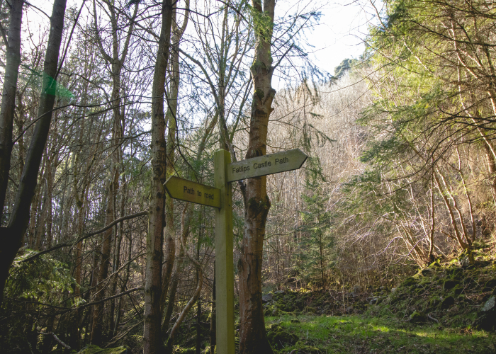 Tarkine Forest Adventure Walks TAS, Tour & Trek