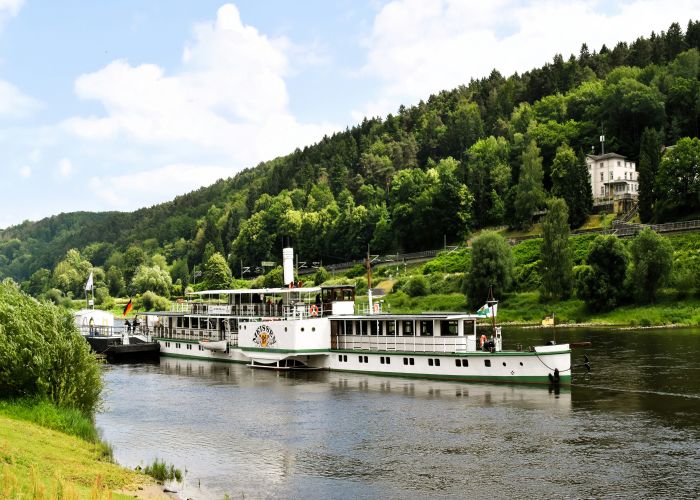 Elbzollfähre Ferry + Forest Hike Combo Around Bad Schandau: Tour & Trek Guide
