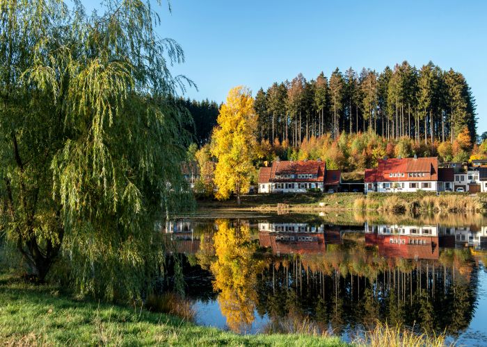 Harz National Park’s Brocken Summit + Steam-Rail Trek – Tour & Trek Guide