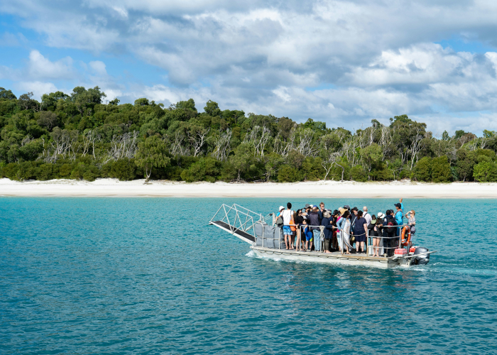 Boat & Hike Trips at Daintree Rainforest, QLD – Tour & Trek