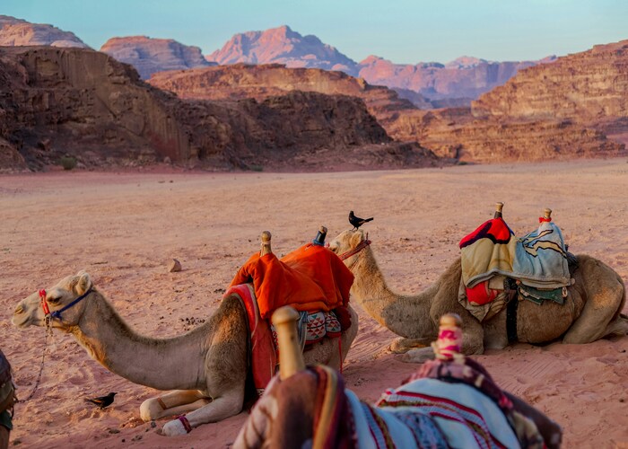 Private Desert Tours in the Middle East – Luxury Adventure Awaits