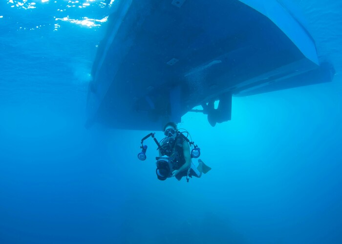Deep Sea Submarine Tourism Experiences – Explore the Ocean’s Hidden Wonders
