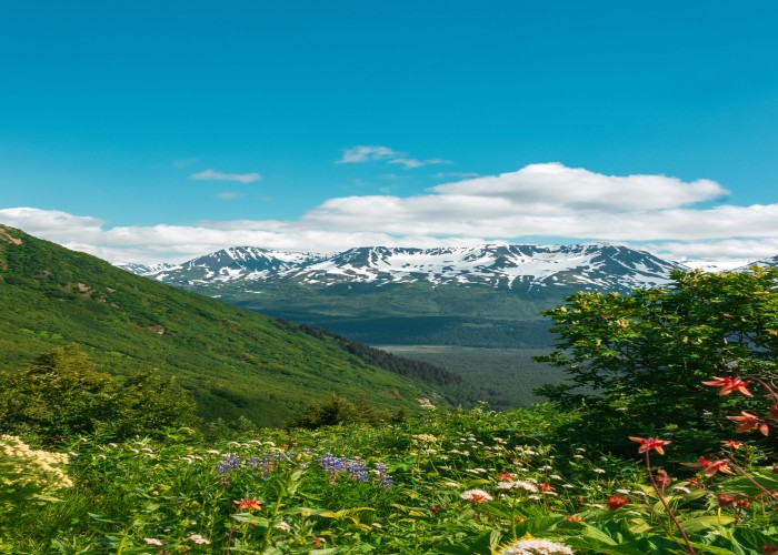 Top Luxury Adventure Tours in Alaska: Where Wild Beauty Meets Premium Travel