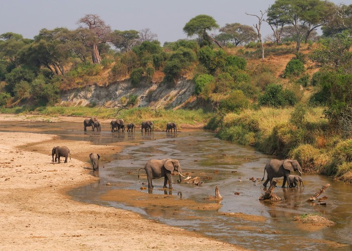 Luxury Eco-Tourism in Africa: Sustainable Adventures for the Conscious Traveler