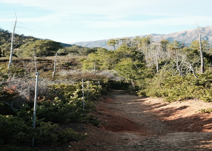Rothaarsteig Ridge Walk via Kahler Asten and Ruhr Weser Watershed: Complete Tour and Trek Guide