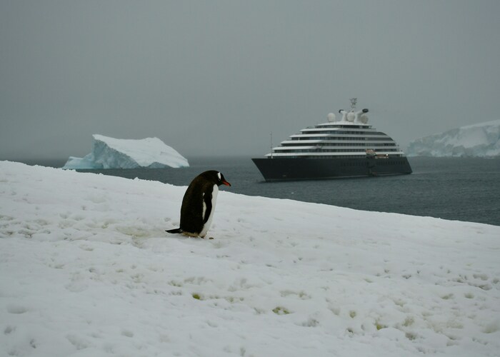 Luxury Antarctica Cruises Cost and Experience A Once in a Lifetime Polar Journey