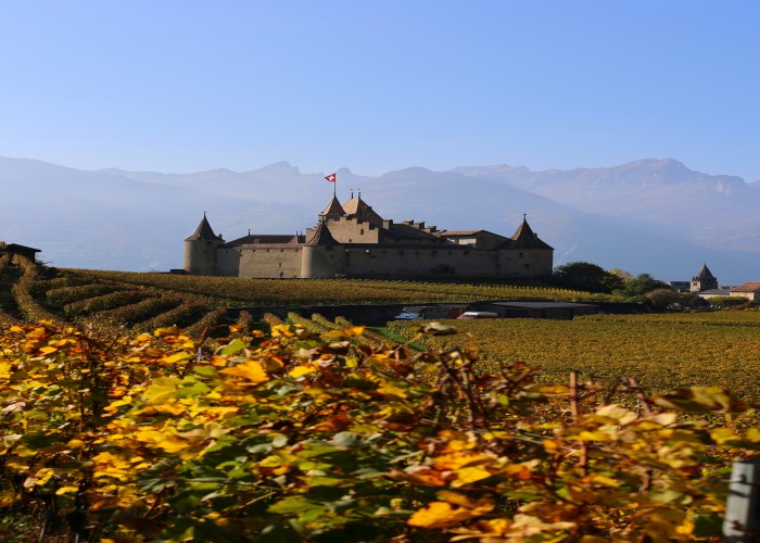 High-End Wine Tourism Destinations in Europe That Promise Luxury, Culture, and Unforgettable Vineyard Experiences