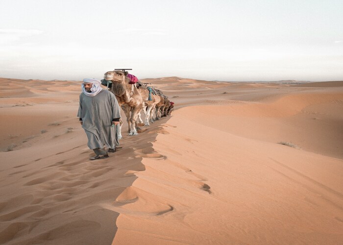 Luxury Camel Trekking in Morocco A Timeless Desert Escape