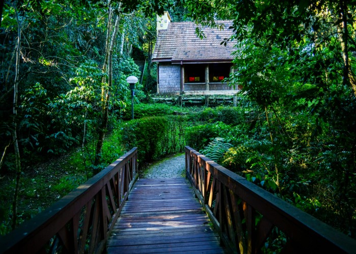 Luxury Jungle Lodges in Brazil: Where Wilderness Meets Pure Elegance