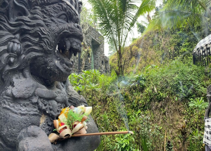Alternative Healing Tourism in Bali: Transformative Wellness Experiences