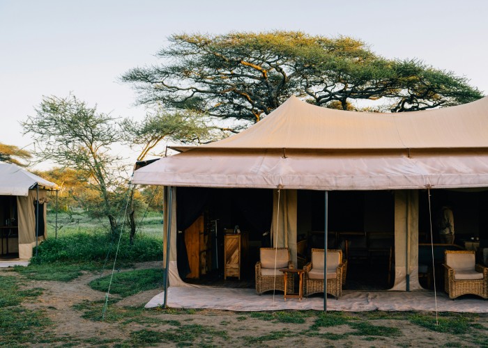 Best Private Safari Lodges in Africa: A Complete Luxury Travel Guide