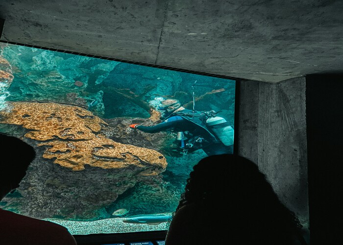 Underwater Hotels and Resorts Worth the Price A Deep Dive Into the World’s Most Unique Stays