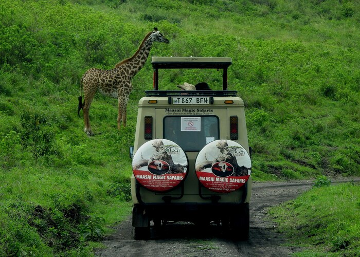 Unforgettable High-End Safari Tours in Africa You Should Experience