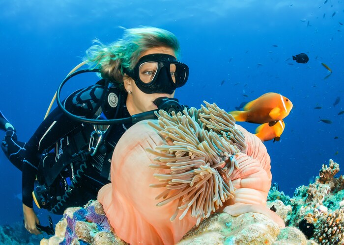 Dine Beneath the Ocean: Maldives Underwater Restaurants Experience