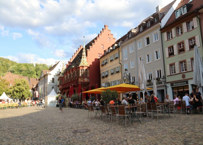 Freiburg Marketplace and Black Forest Botanical Garden Walk: A Complete Informational Guide