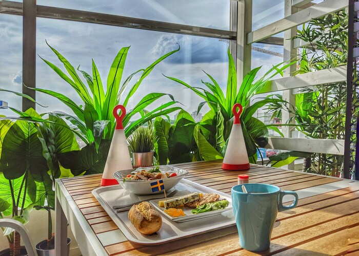 Plant Based Paradise: Inside the World of Vegan Friendly Luxury Resorts