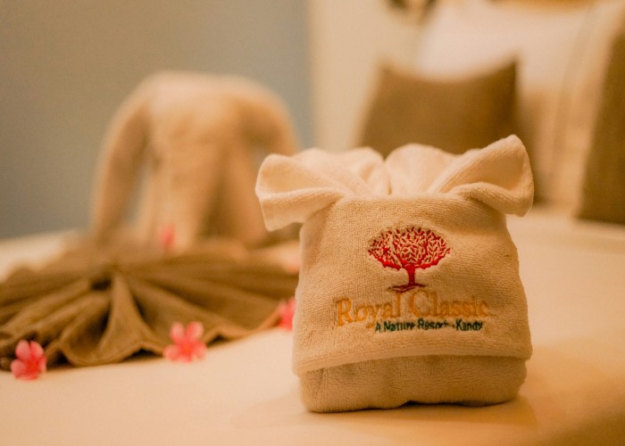 Best Spa Resorts with Ayurveda and Wellness Packages