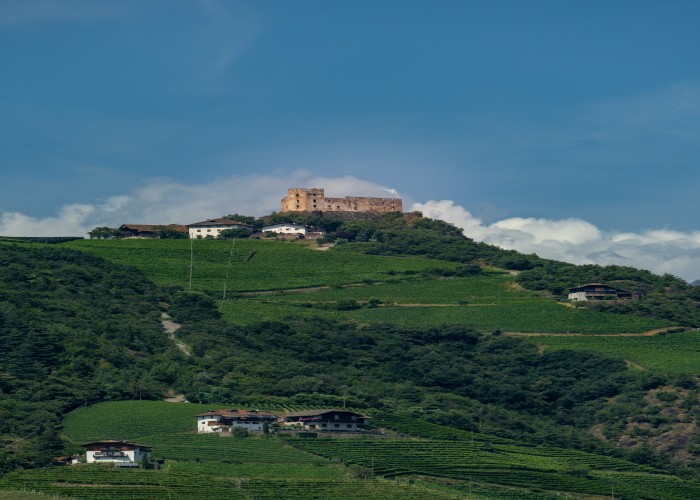 Eltz Castle Circular Trail in the Moselle Mountains: Complete Tour and Trek Guide