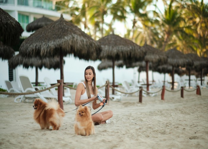 Luxury Pet-Friendly Resorts Around the World That Redefine Travel for You and Your Pets