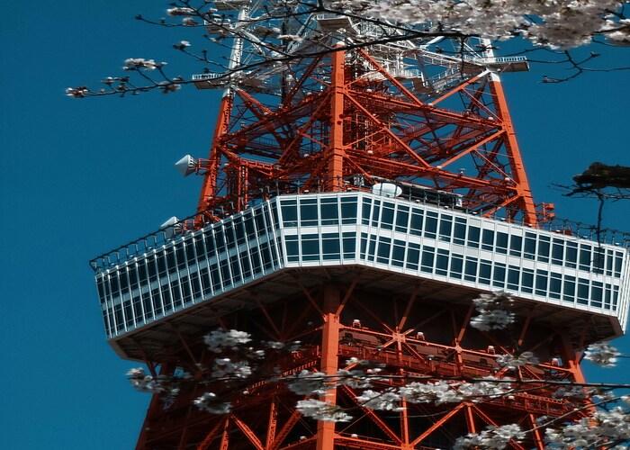 High CPC Guide to Satellite Phones for Travelers: Stay Connected Where Networks End