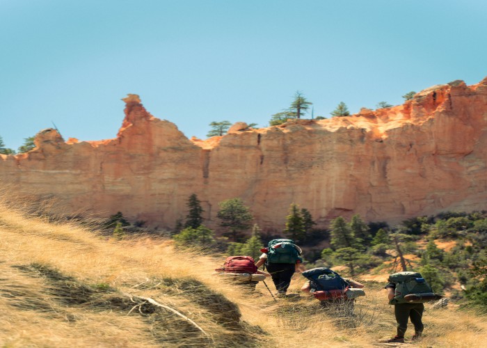 Ultimate Adventure Guide: Best Hiking Trails Across the United States