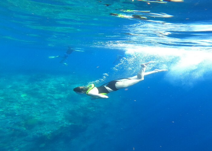 Best Snorkeling Destinations in the Caribbean That Feel Like a Living Aquarium