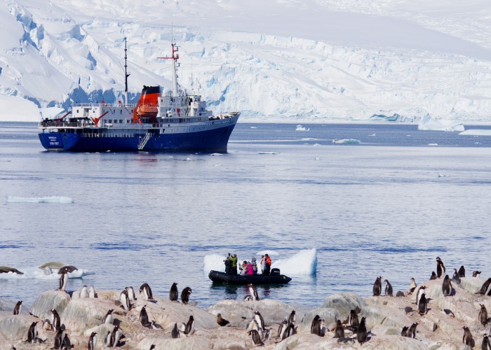 Best Cruise Packages to Antarctica: A Once in a Lifetime Journey to the Last White Continent
