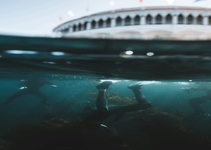 Dine Beneath the Waves: A Mesmerizing Guide to Luxury Underwater Dining Experiences