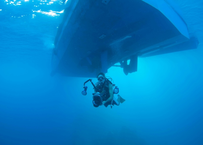 Dive Into Adventure: Deep-Sea Submarine Tours for Tourist