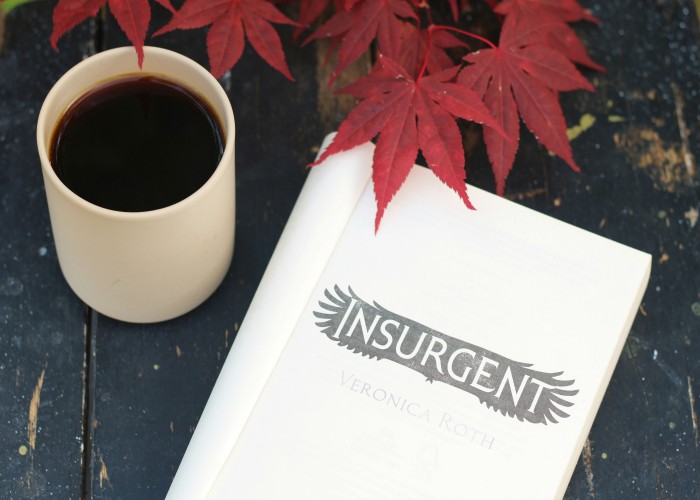 Long Term Care Insurance Guide for Americans Who Want a Secure Future