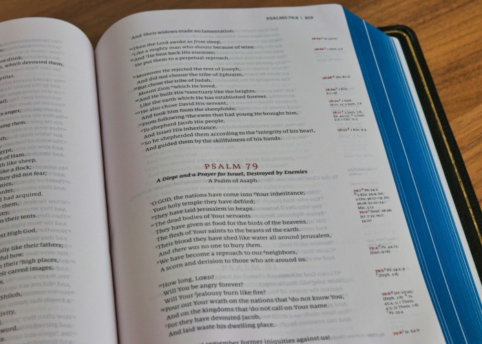 What to Do After 12th Science: Complete Guide for Students