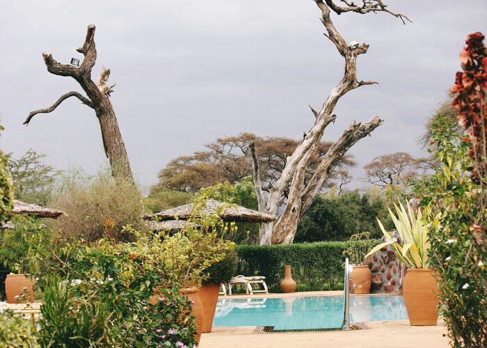 Top Luxury Safari Lodges in Kenya: Where Wild Beauty Meets Refined Comfort