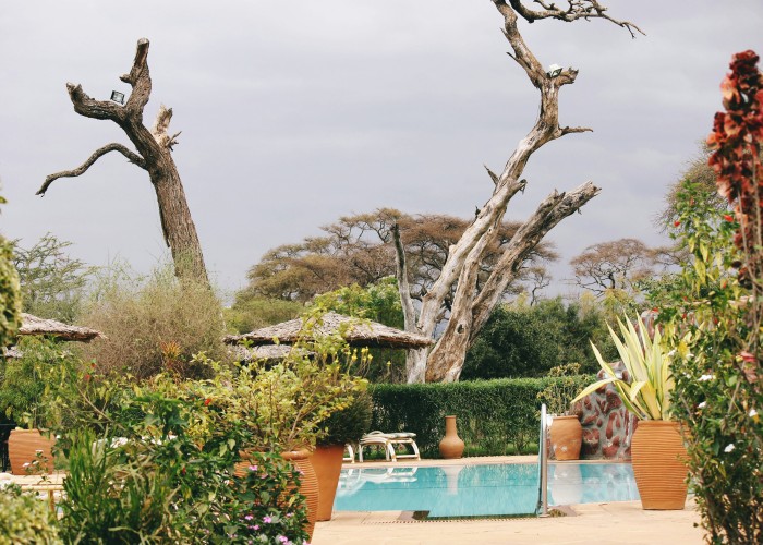 Best Luxury Safari Lodges in Kenya: Where Untamed Nature Meets Refined Comfort