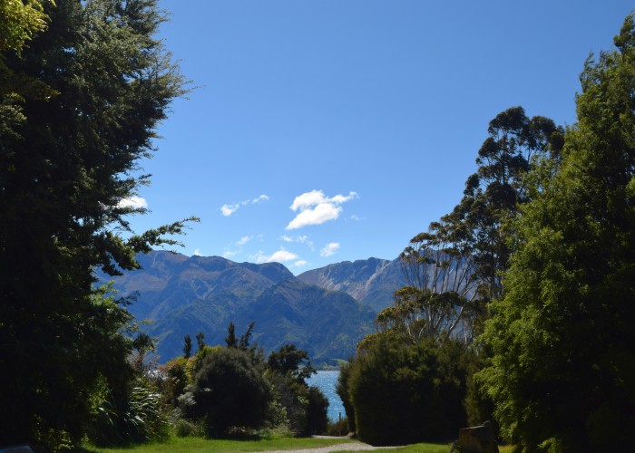 Luxury Retreats in New Zealand: Escape into Tranquil Elegance