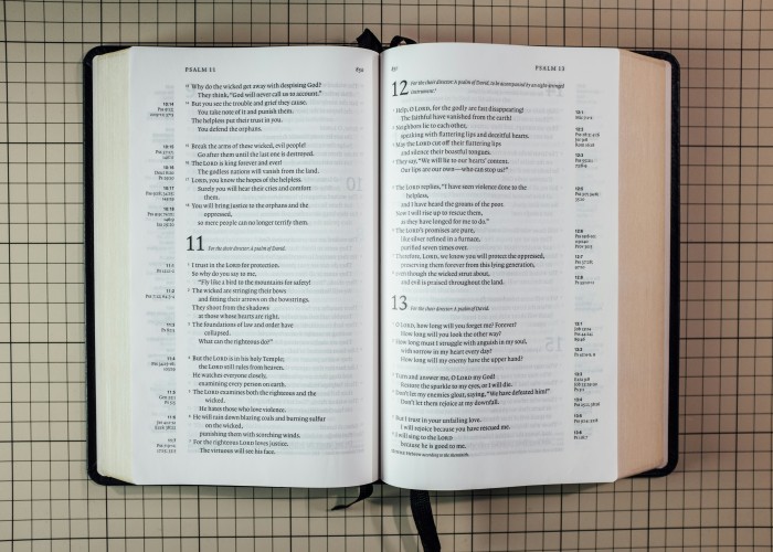 Can I Do MBA After 12th: Complete Guide for Students