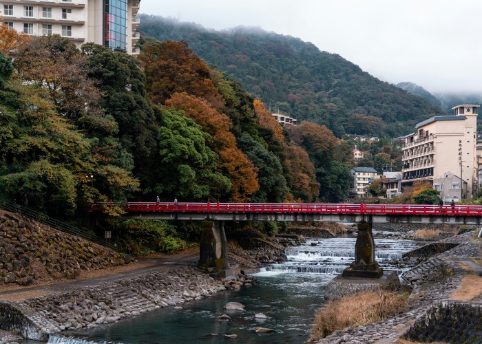 Luxury Train Journeys in Japan: Explore Scenic Elegance on Rails