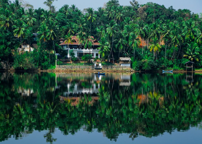 Ayurveda Healing Trips in Kerala: The Ultimate Guide for Global Wellness Seekers