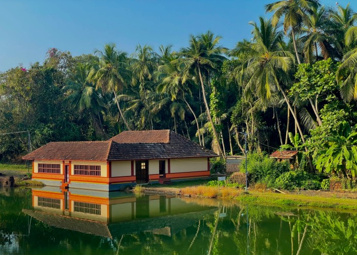 Best Spa Resorts in Kerala, India for Deep Healing, Wellness, and Pure Relaxation