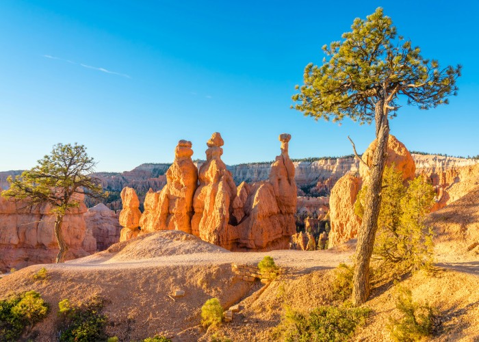 Hidden Travel Gems in the USA: Secret Places Most Travelers Never Discover