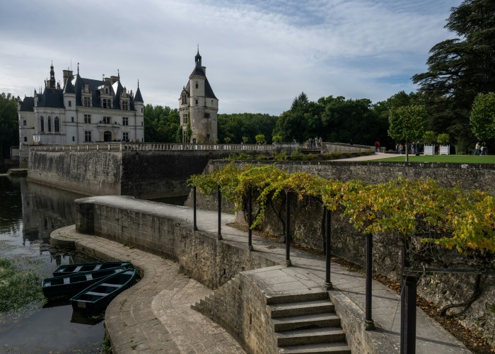 Luxury Wine Tours in France That Reveal the Art of Fine Living