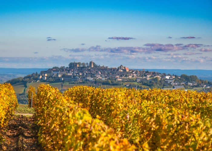 Exclusive Wine Tours in France: A Journey Through Luxury Vineyards