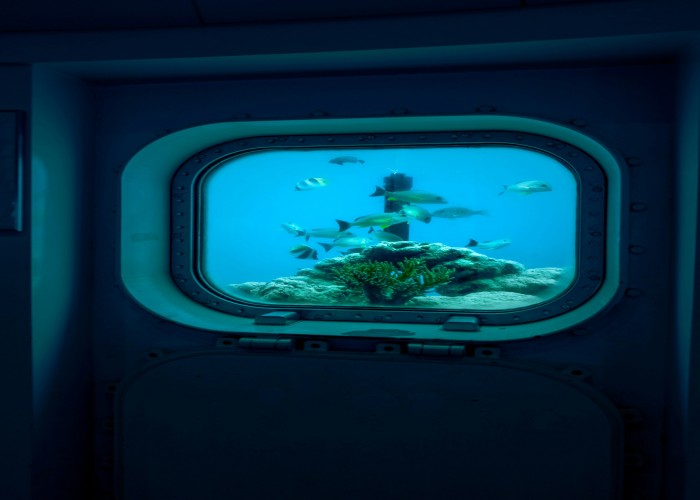 Sleep Beneath the Waves: Unique Underwater Hotels That Redefine Luxury Travel