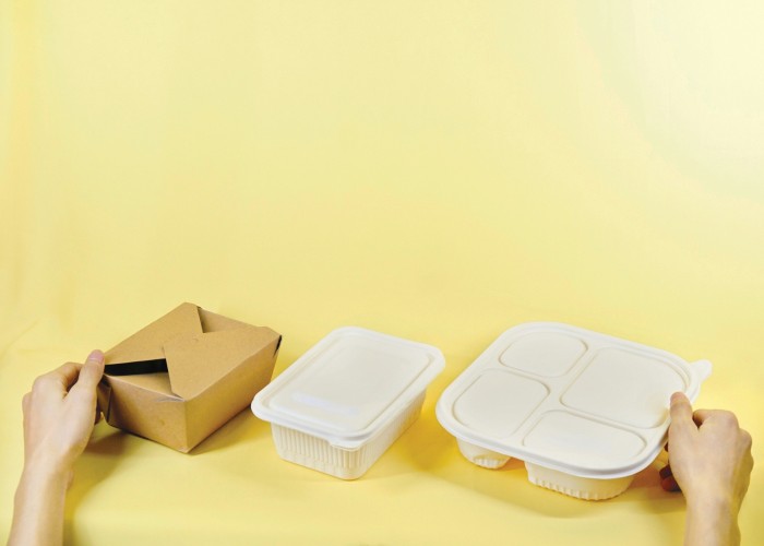The Ultimate Guide to the Best Platforms to Buy Lunch Boxes Worldwide Online and Offline
